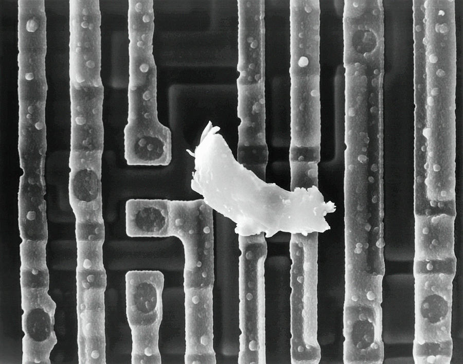 Black And White Photograph - Computer Chip With Dirt by Dennis Kunkel Microscopy/science Photo Library