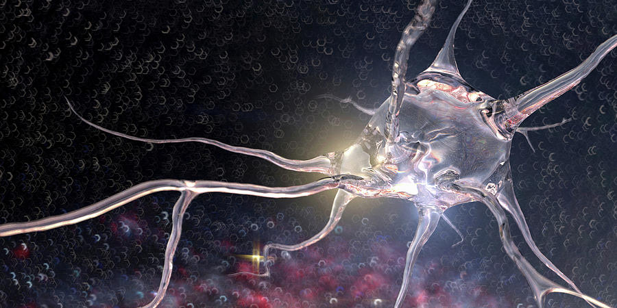 Computer Generated Translucent Neuron Photograph by Ikon Images