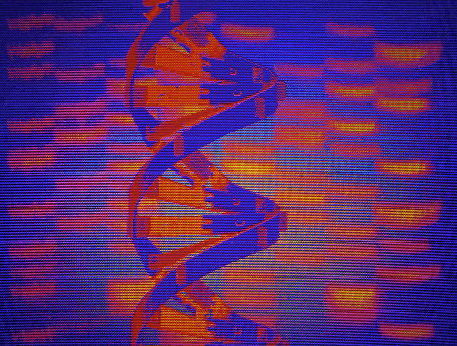 Computer Graphic Of Dna Helix And 'fingerprint' Photograph ...