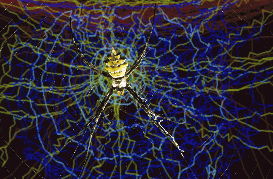 Computer Simulation Of A Spider Photograph by Heidi & Hans-Juergen Koch
