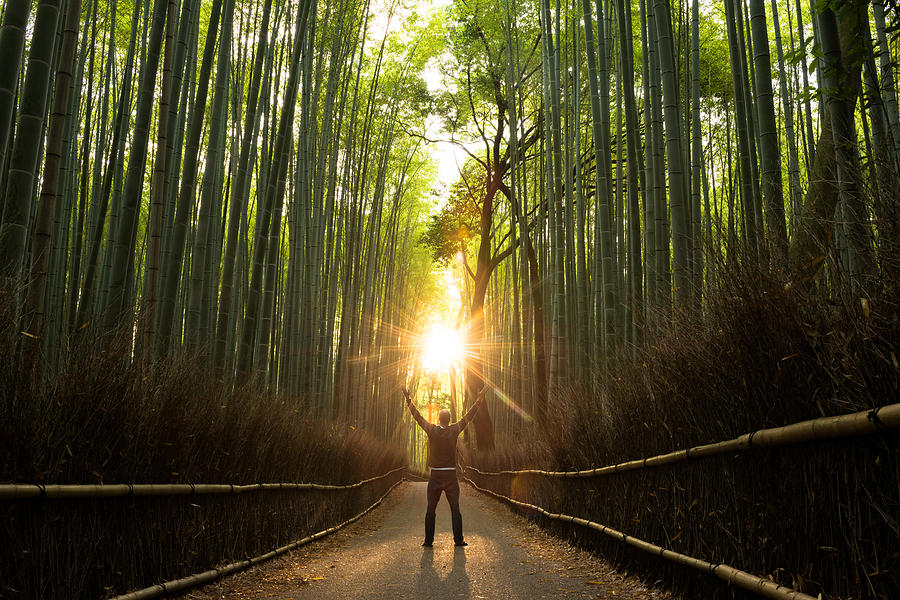 Concept of Success in a natural setting Photograph by stockstudioX Concept of Success in a natural setting Photograph by stockstudioX