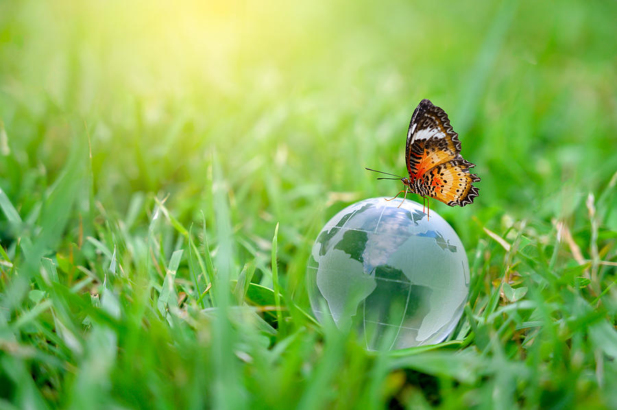 Concept Save the world save environment The world is in the grass of the green bokeh background Photograph by sarayut Thaneerat