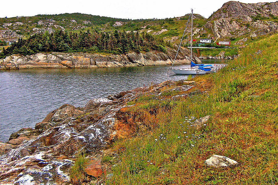 Conception Bay from Brigus, Newfoundland, Canada Photograph by Ruth