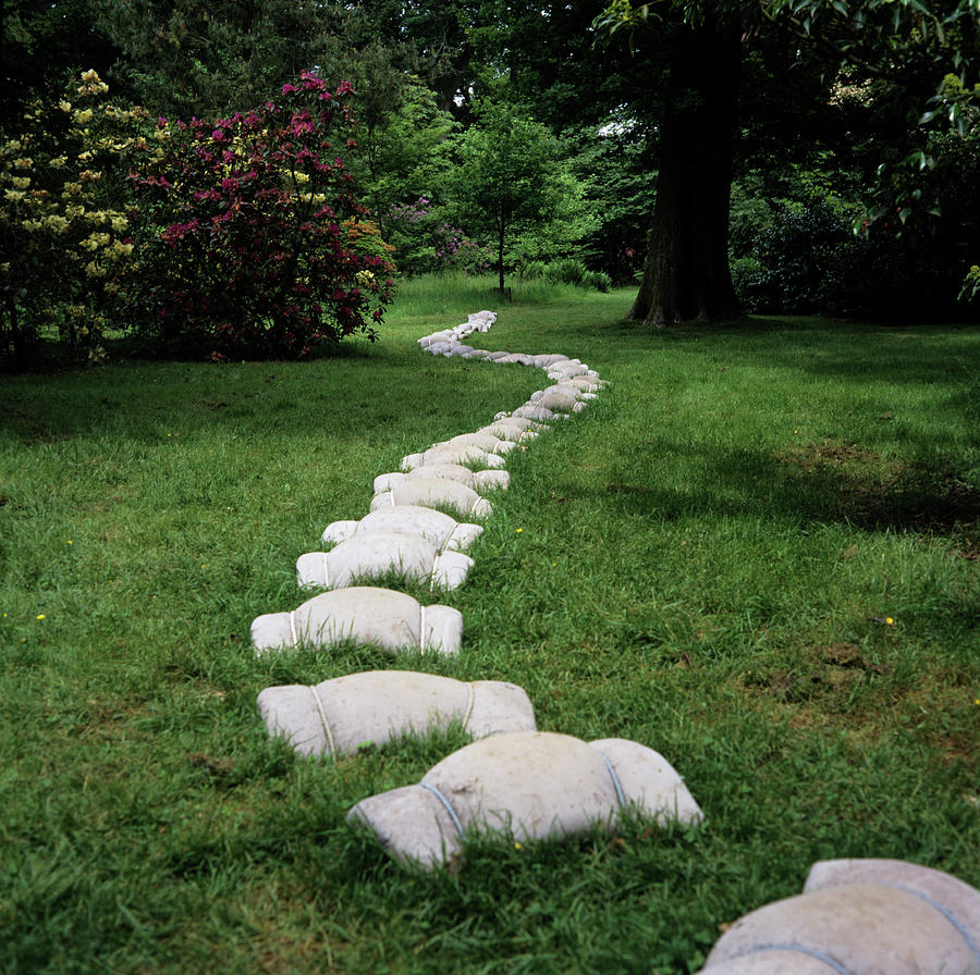 Conceptual Garden-\stepping Lightly...\ Photograph by Chris Dawe/science Photo Library