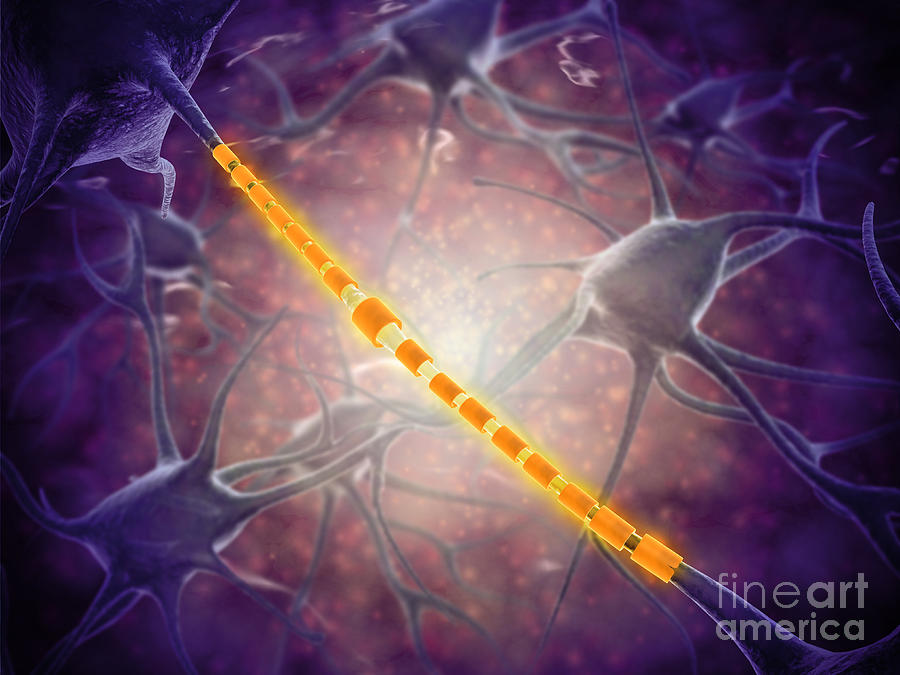 Conceptual Image Of A Neuron Ligntning Digital Art