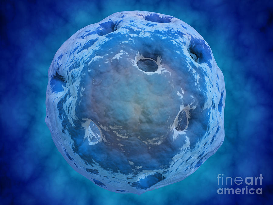 Conceptual Image Of Cell Nucleus Digital Art by Stocktrek Images