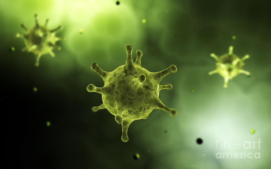 Science Digital Art - Conceptual Image Of Common Virus by Stocktrek Images
