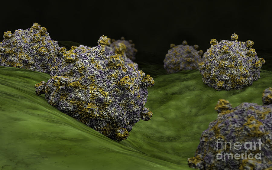Conceptual Image Of Coxsackievirus Digital Art by Stocktrek Images