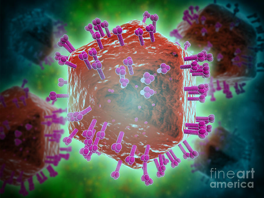 Conceptual Image Of Hiv Virus Digital Art by Stocktrek Images