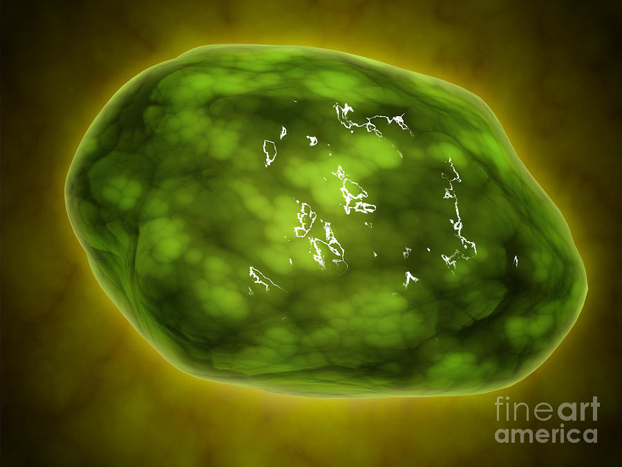 Conceptual Image Of Lysosome Digital Art by Stocktrek Images