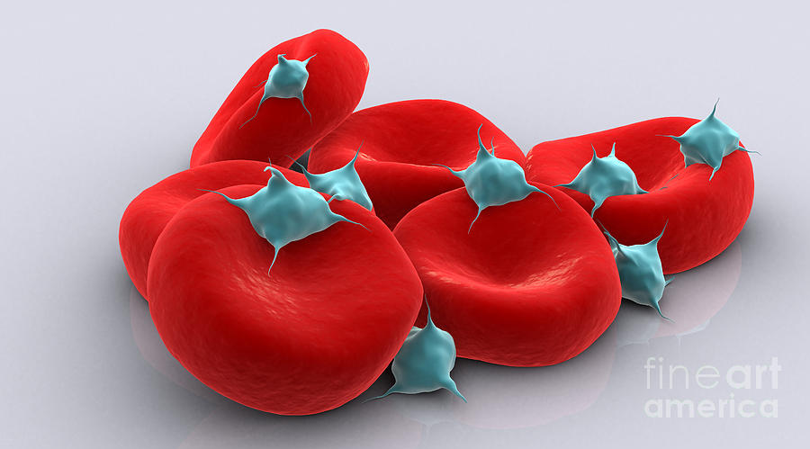 Conceptual Image Of Platelets With Red Digital Art by Stocktrek Images