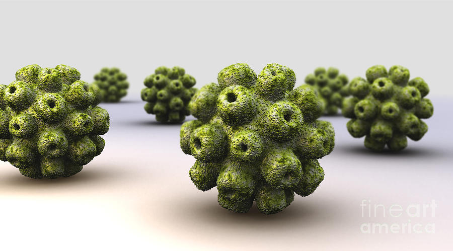 Conceptual Image Of Polyomavirus Digital Art by Stocktrek Images
