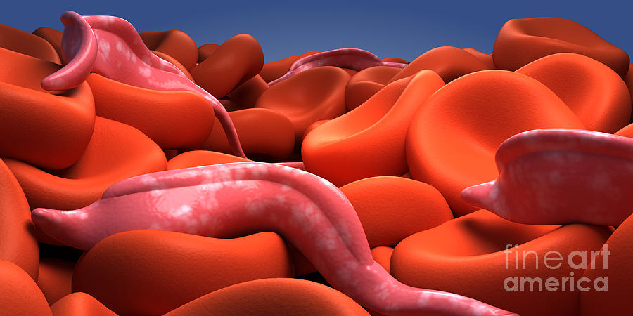 Horizontal Digital Art - Conceptual Image Of Trypanosoma by Stocktrek Images