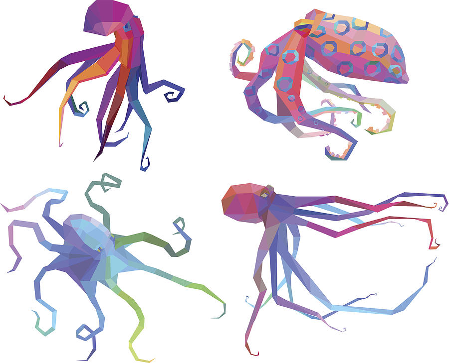 Conceptual  Octopus Drawing by Trendmakers