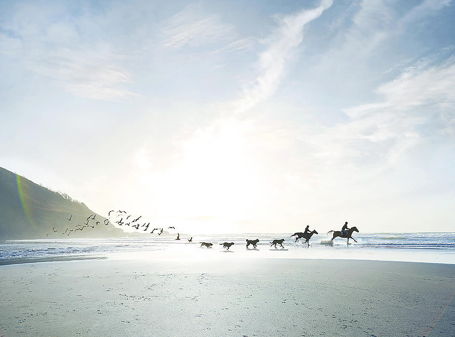 Conceptual shot of riders, dogs and birds on beach Photograph by Ezra Bailey