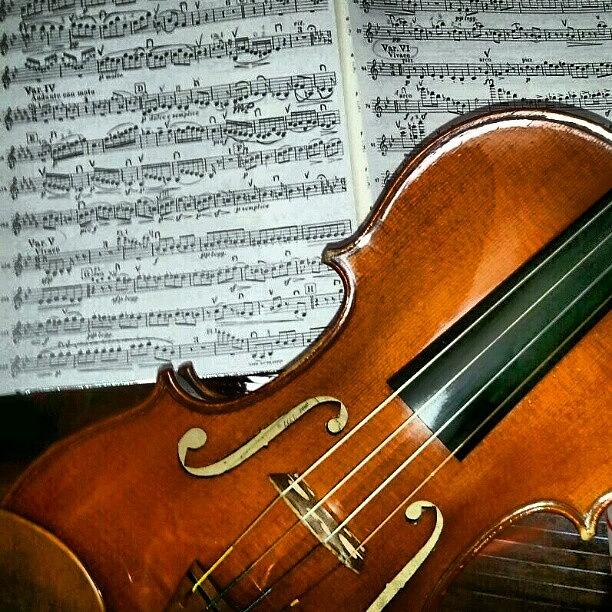 Music Photograph - #concert  #music #violin #famous by Thays S