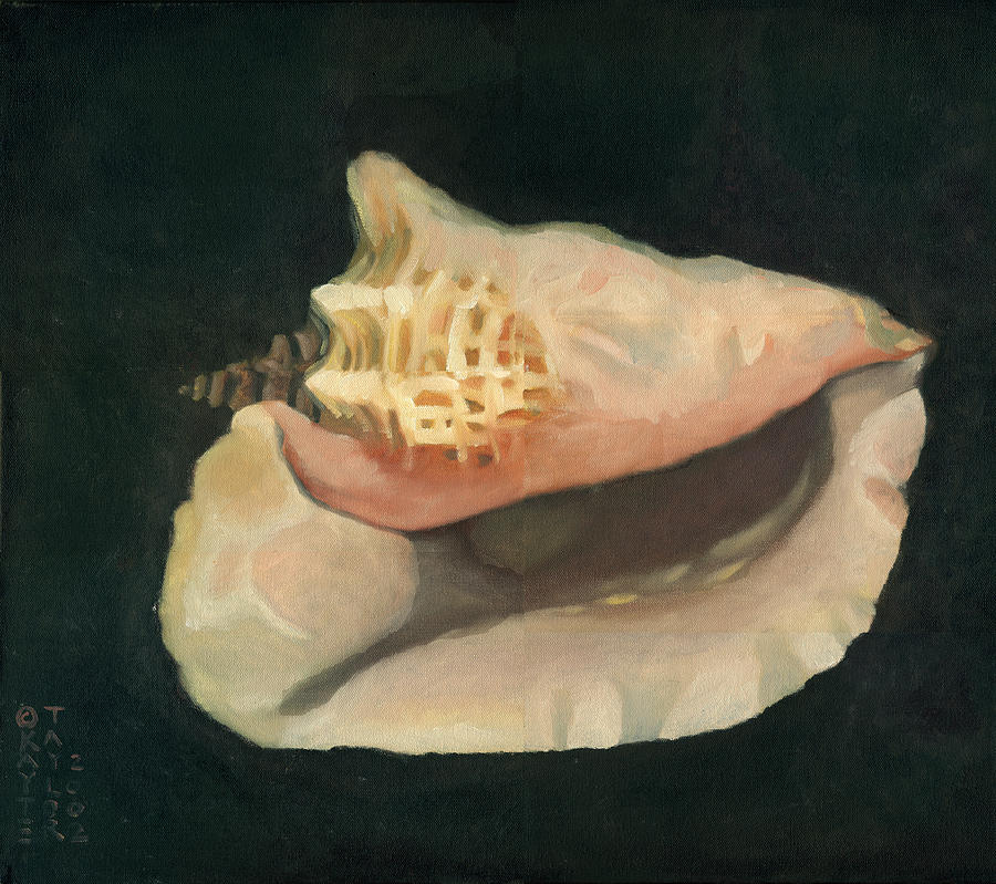 Conch Painting by Katherine Miller