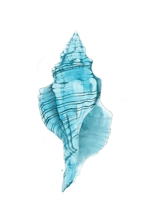 Shell Digital Art - Conch by Randoms Print