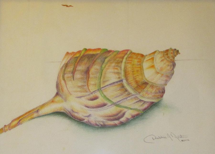 Conch Shell Painting - Conch Shell by Debbie Nester Conch Shell Painting - Conch Shell by Debbie Nester