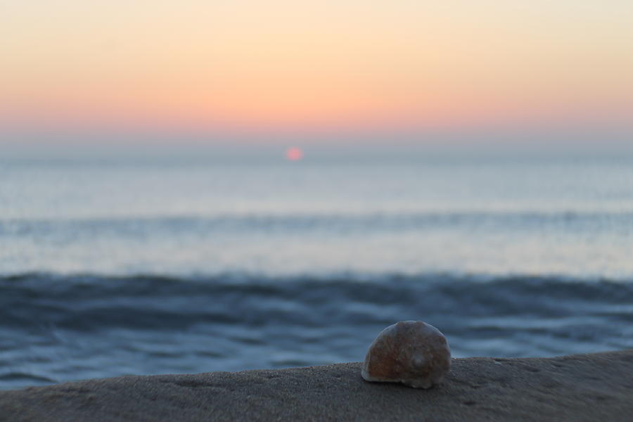 Conch Shell Sunrise Photograph by Robert Banach