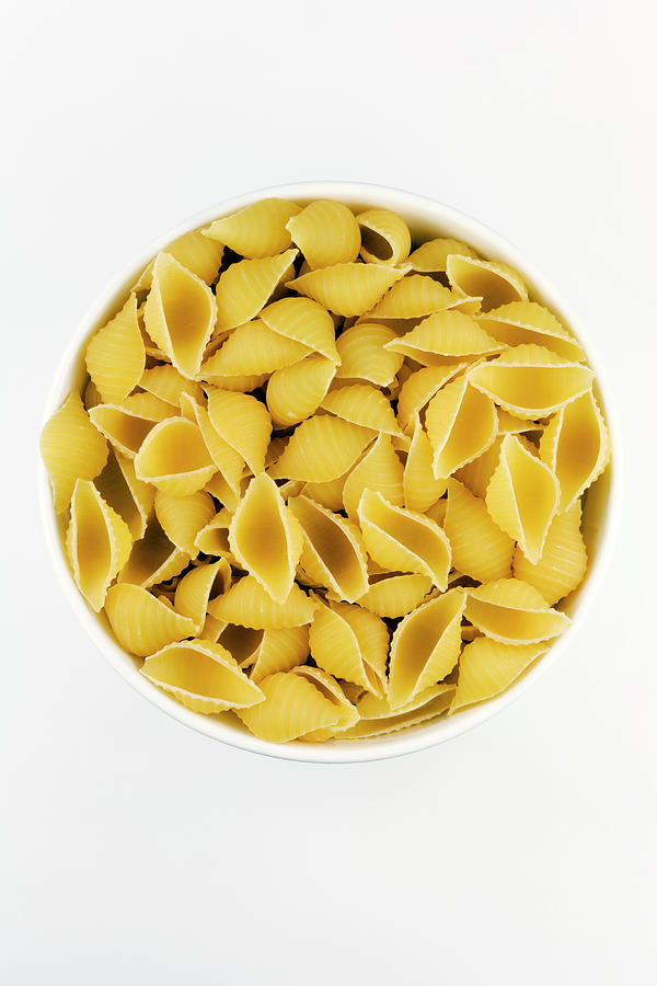 giant conchiglie pasta