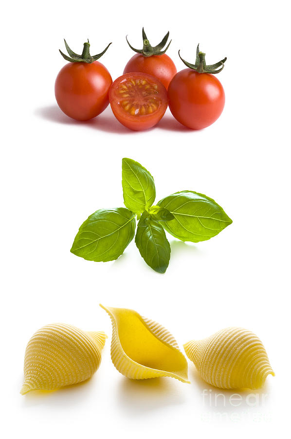Conchiglioni Pasta Shells Tomatoes And Basil Leaves  Photograph by Lee Avison