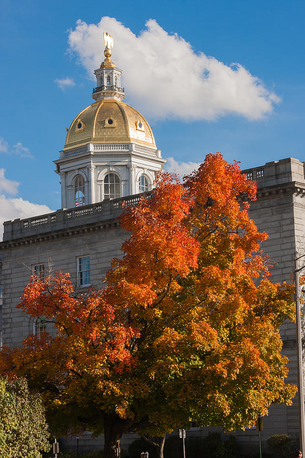 Concord Nh Photograph - Concord State House by Nestor Colon