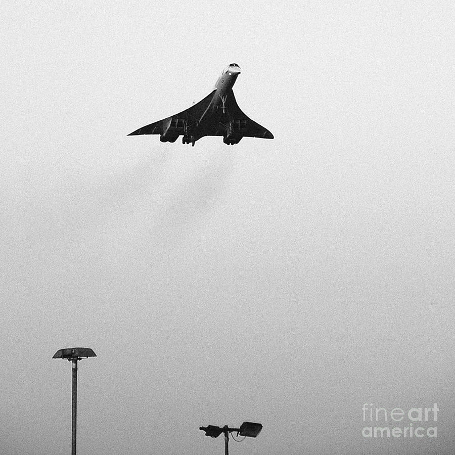 Concorde Photograph by Greg Bajor