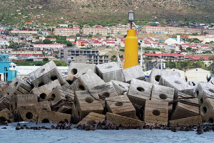 Concrete Block Breakwater In South Africa Photograph by Mark Williamson/science Photo Library