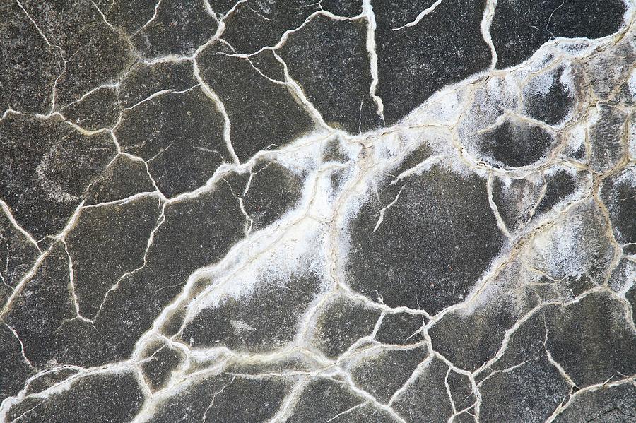 Concrete Cracks Photograph by Michael Clutson/science Photo Library