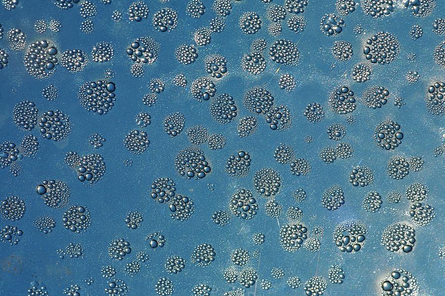 Condensation On A Pane Of Glass Photograph by Michael Clutson/science Photo Library