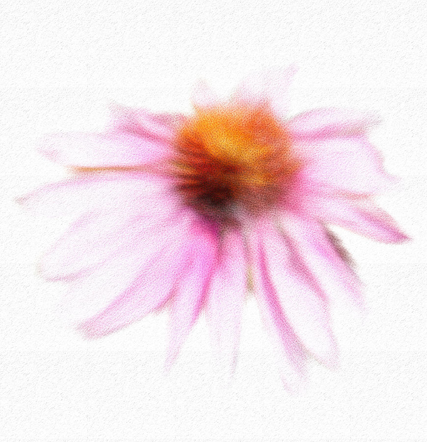 Cone Flower in Watercolor Photograph by Mary Timman
