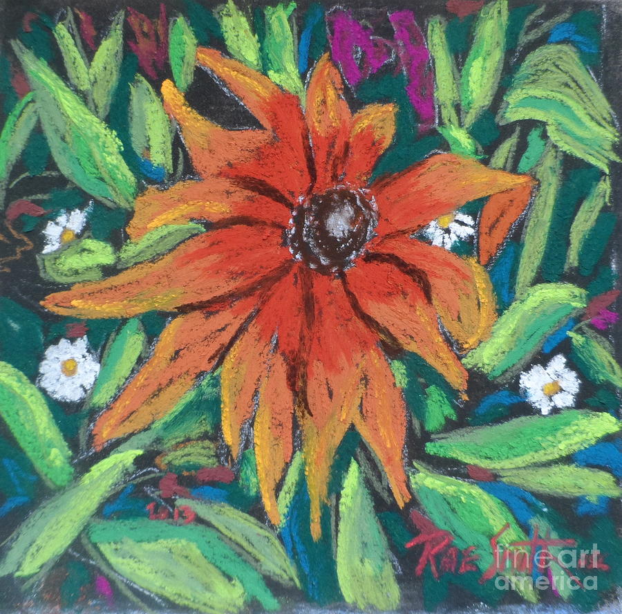 Cone Flower Pastel by Rae  Smith PSC