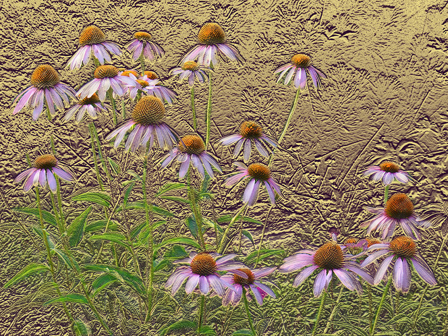 Cone Flowers Digital Art by Steve Karol