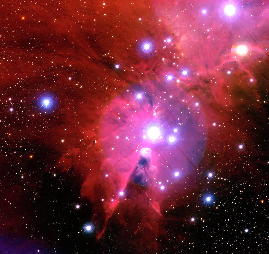 Space Photograph - Cone Nebula by Canada-france-hawaii Telescope/jean- Charles Cuillandre/science Photo Library