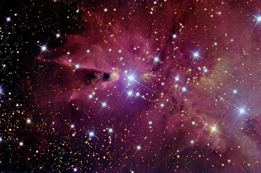Cone Nebula (ngc 2264) Photograph by Russell Croman/science Photo Library