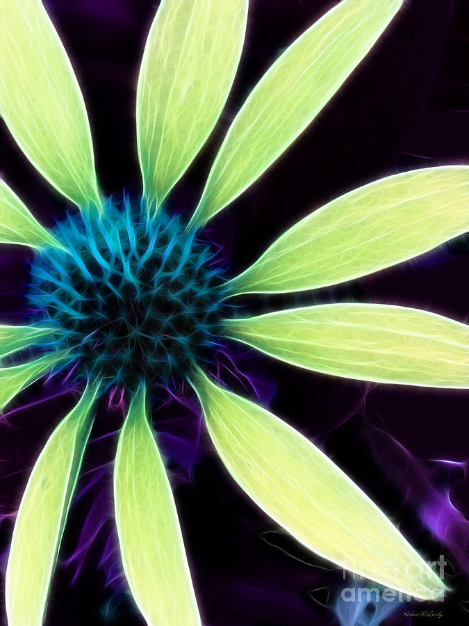 Coneflower Lime Abstract Photograph by Kathie McCurdy