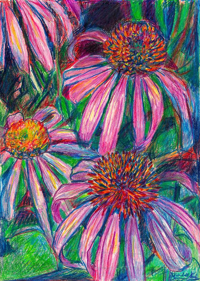 Nature Drawing - Coneflower Twirl by Kendall Kessler