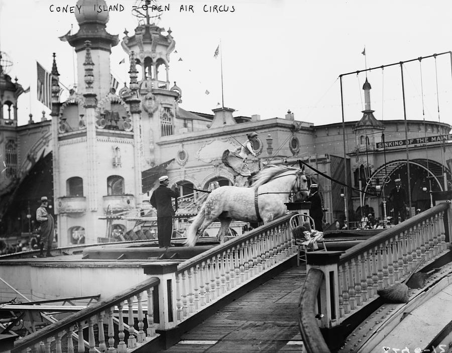 Coney Island Circus, C1910 Photograph by Granger