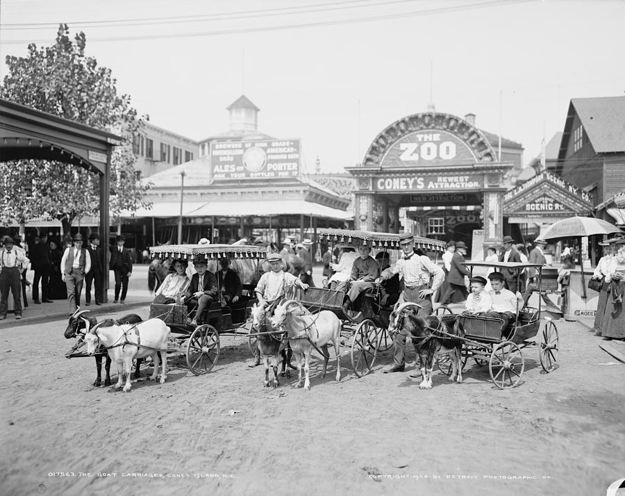 Coney Island Goat Carts Photograph by Granger