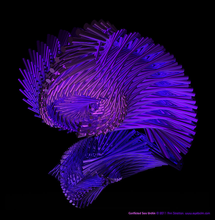 Conflicted Sea Urchin  Digital Art by Ann Stretton