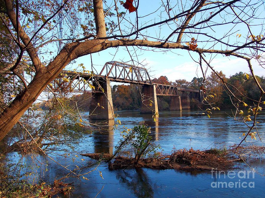 Congaree Autumn Photograph by Skip Willits