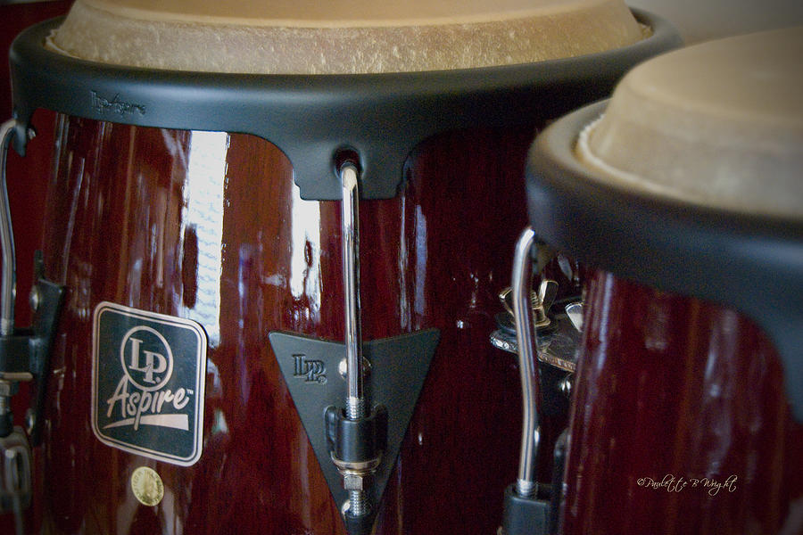 Congas Photograph by Paulette B Wright