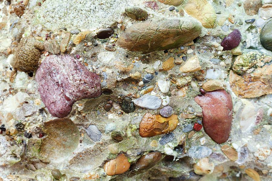 Conglomerate Rock Photograph by Dr Juerg Alean