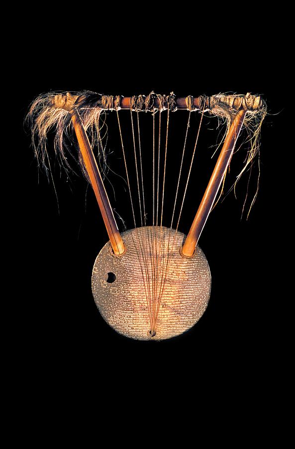 Congolese Lyre Photograph by Patrick Landmann/science Photo Library