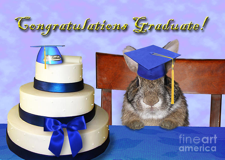 Nature Photograph - Congratulations Graduate Bunny Rabbit by Jeanette K