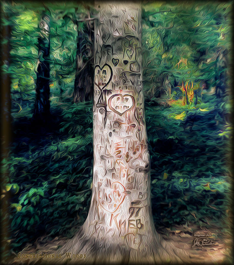 Congressional Woods Digital Art by Joe Paradis