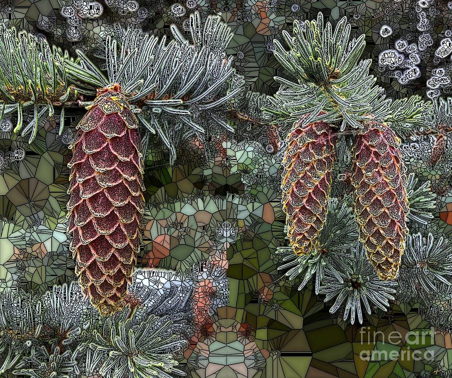 Conifer Cones Digital Art by Ronald Bissett
