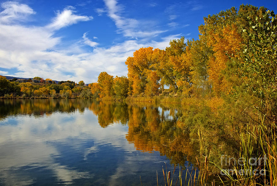 Fall Photograph - Connected Lakes Reflection by Bob Hislop