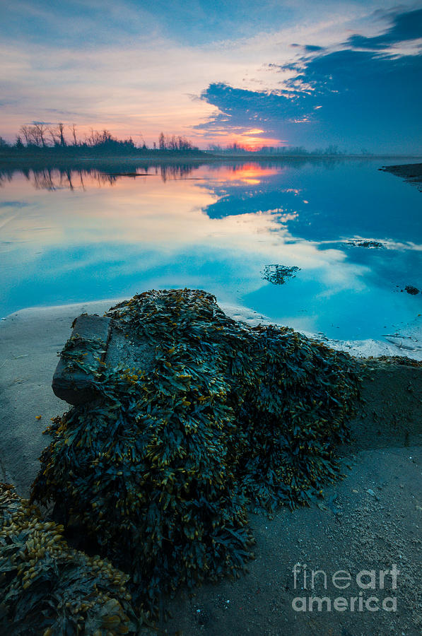 Connecticut Coast - Dawn Over Lewis Gut Photograph by JG Coleman
